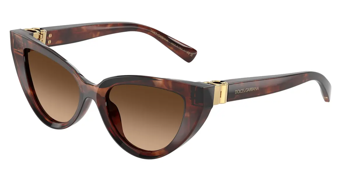 Dolce & Gabbana 4497 Sunglasses 1