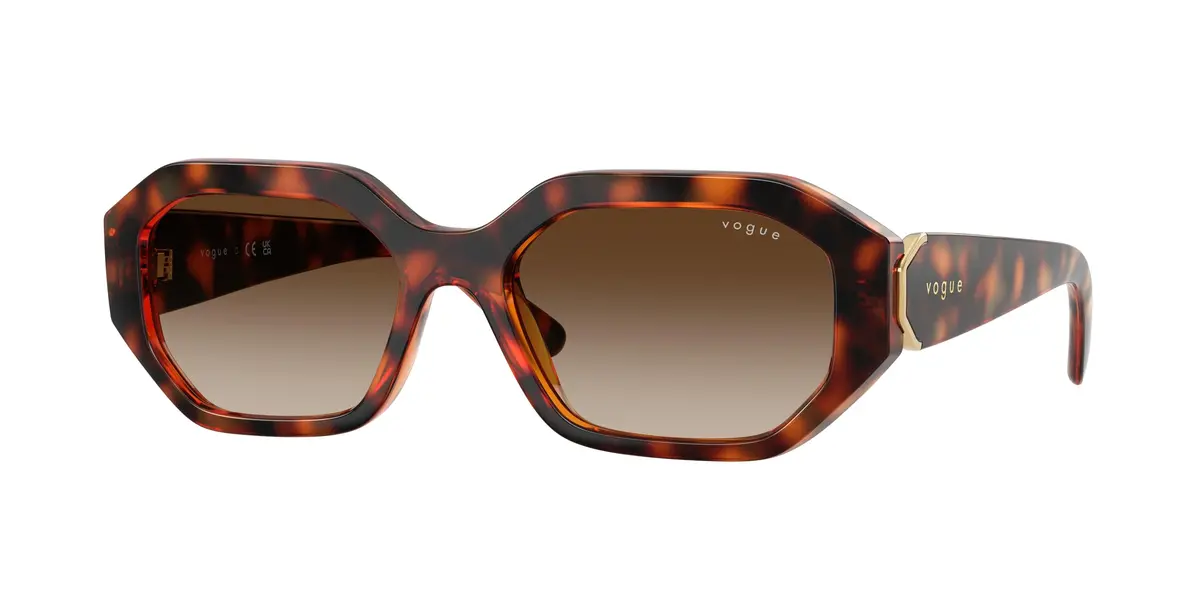 Vogue 5675S Sunglasses 1