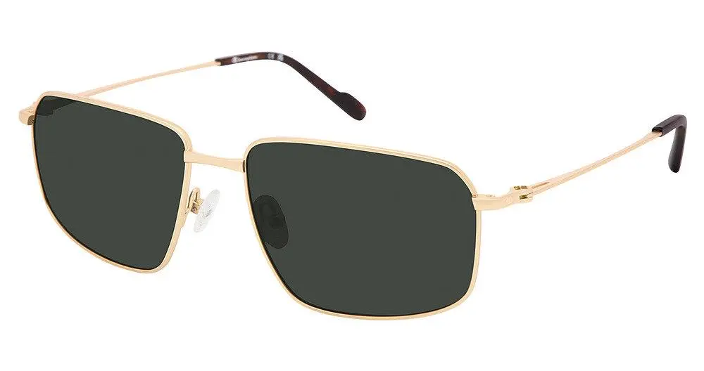 Champion Cufl6010 Sunglasses 1
