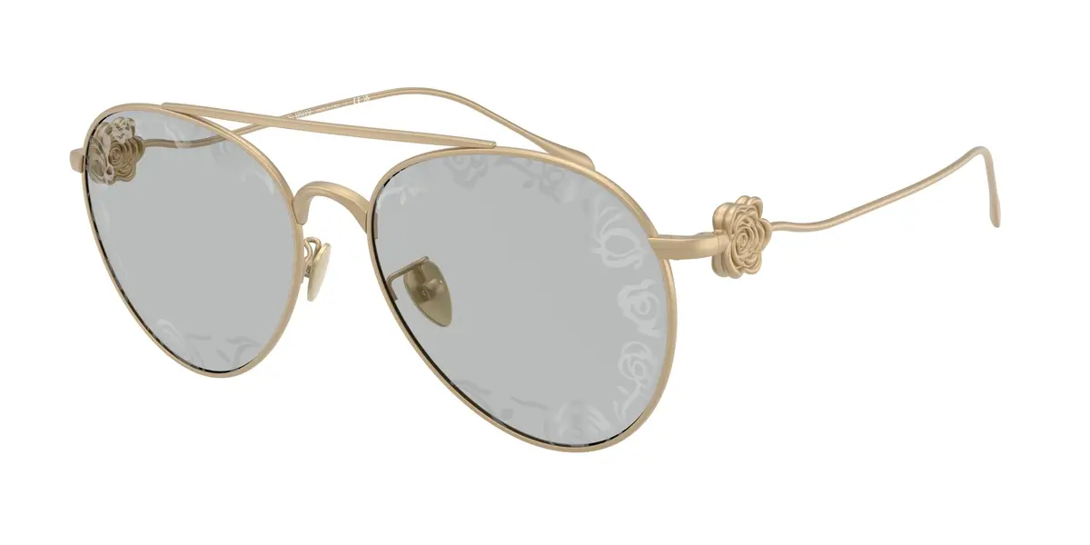 Giorgio Armani 6167 Sunglasses 1