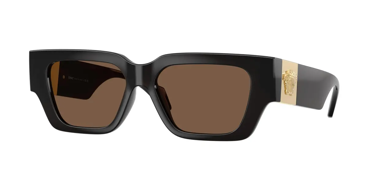 Versace 4497U Sunglasses 1