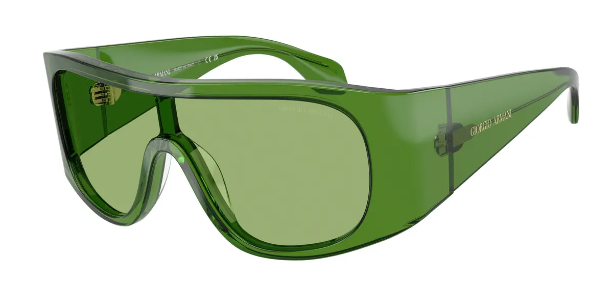 Giorgio Armani 8222U Sunglasses 1