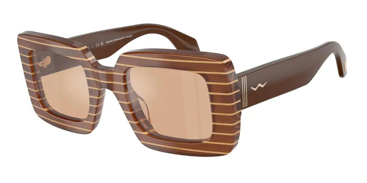 Giorgio Armani 8241U Sunglasses 1