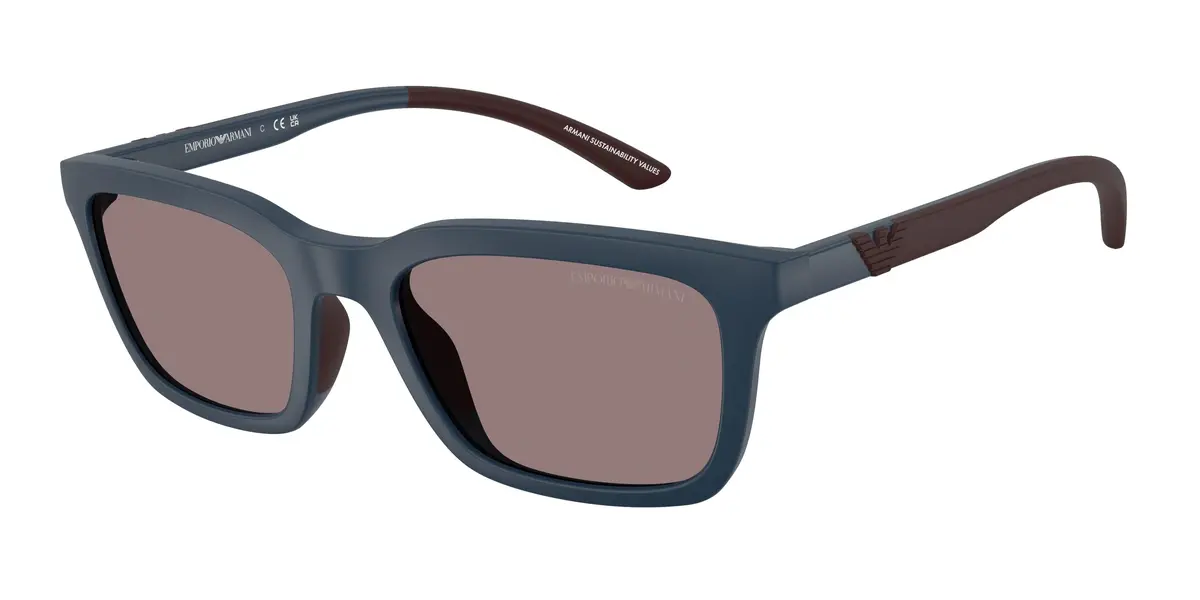 Emporio Armani 4249U Sunglasses 1