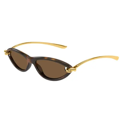Bottega Veneta Bv1390s Sunglasses 1