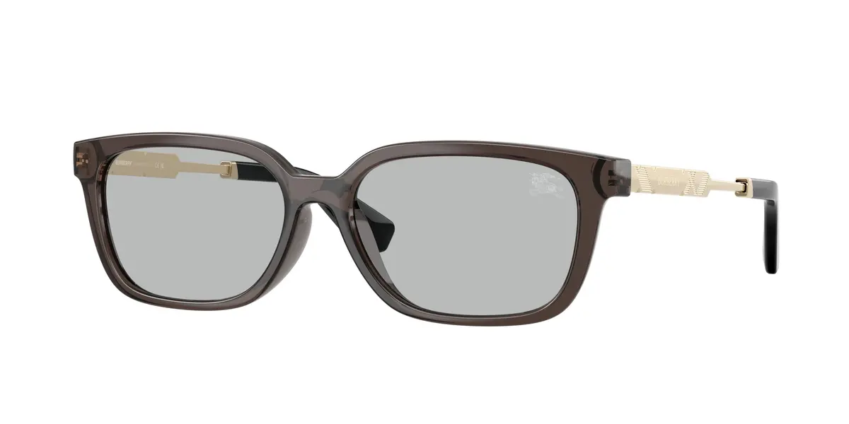 Burberry 4481D Sunglasses 1
