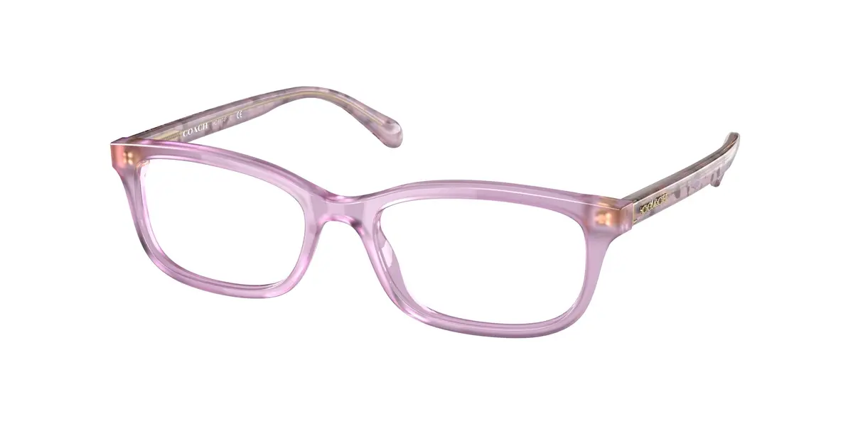 Coach 6174F Eyeglasses 1