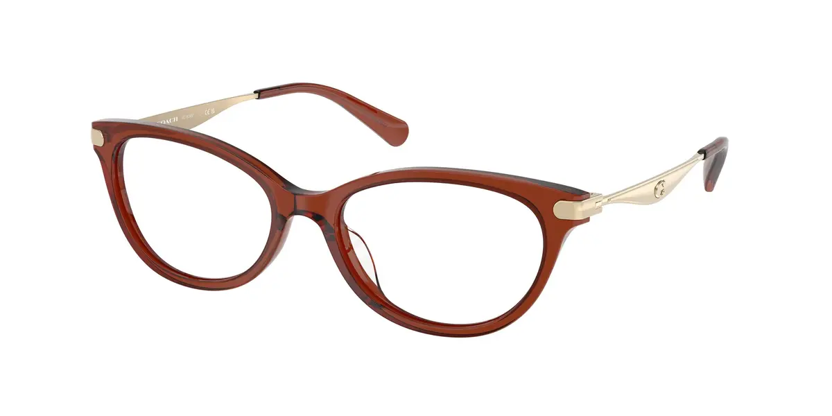 Coach 6245F Eyeglasses 1