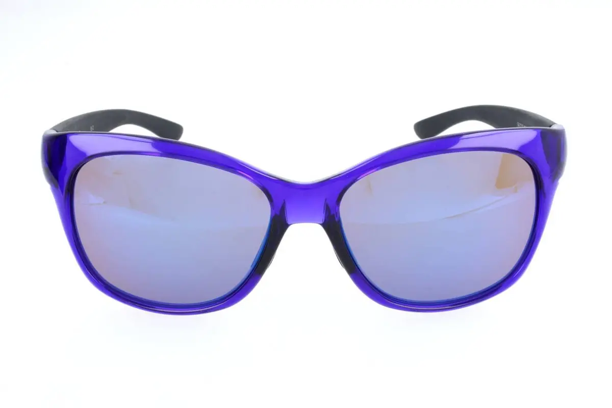 Smith Feature Sunglasses 1