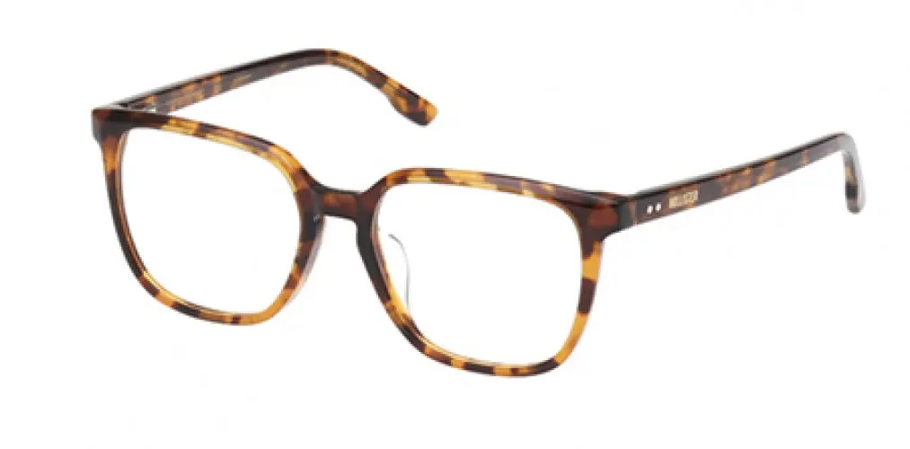 Hollister 50040 Eyeglasses 1