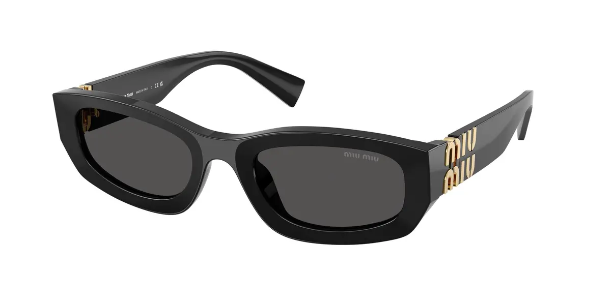 Miu B04s Sunglasses 1