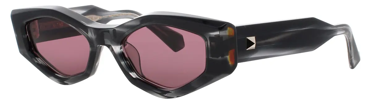 Valentino Vtrevls Sunglasses 1