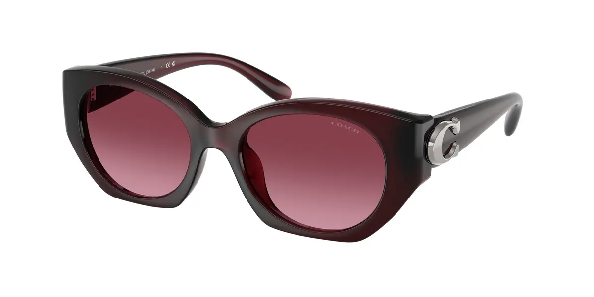 Coach Cw194 8407U Sunglasses 1