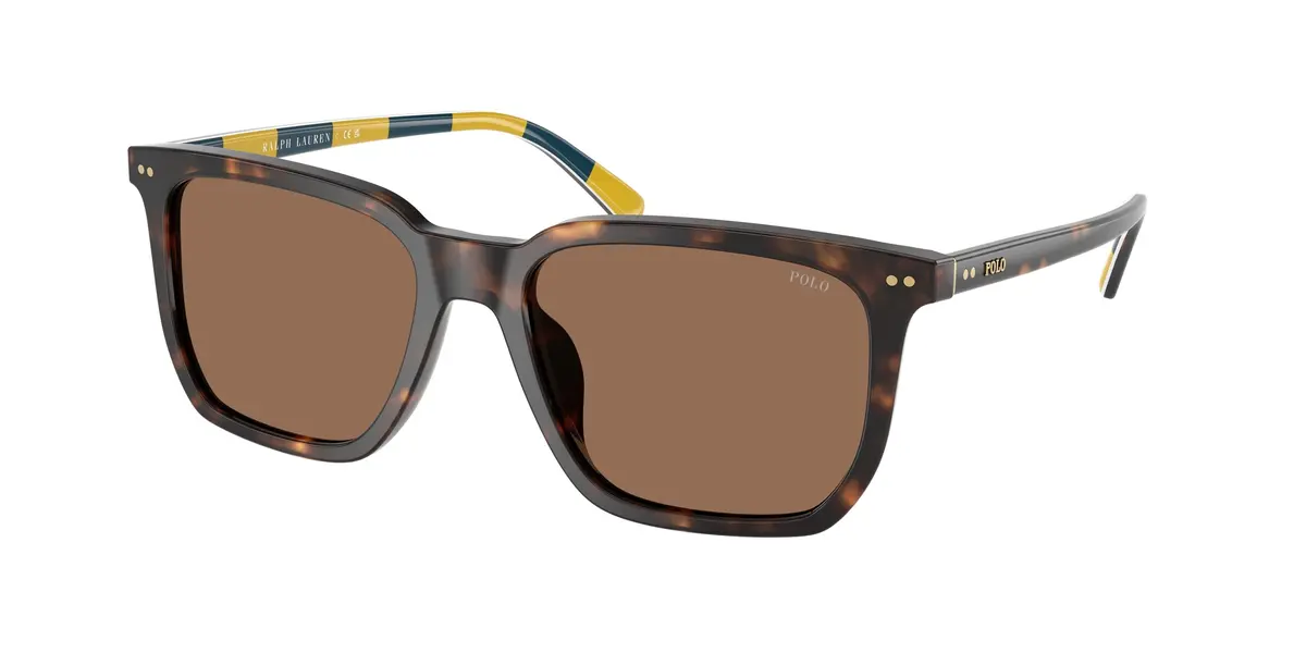 Polo 4224U Sunglasses 1