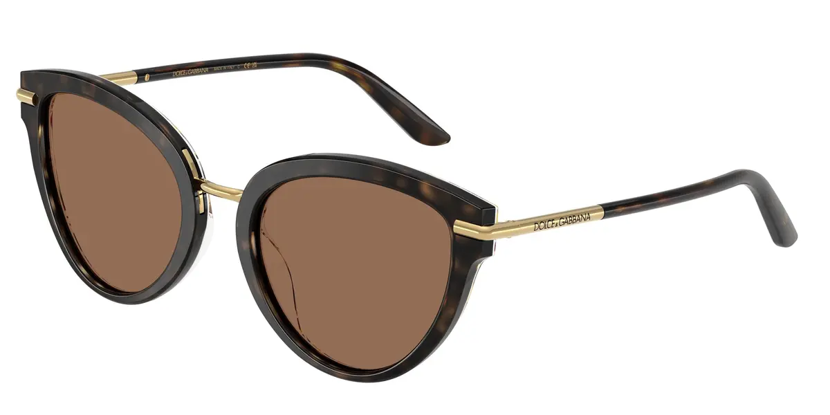 Dolce & Gabbana 4492 Sunglasses 1