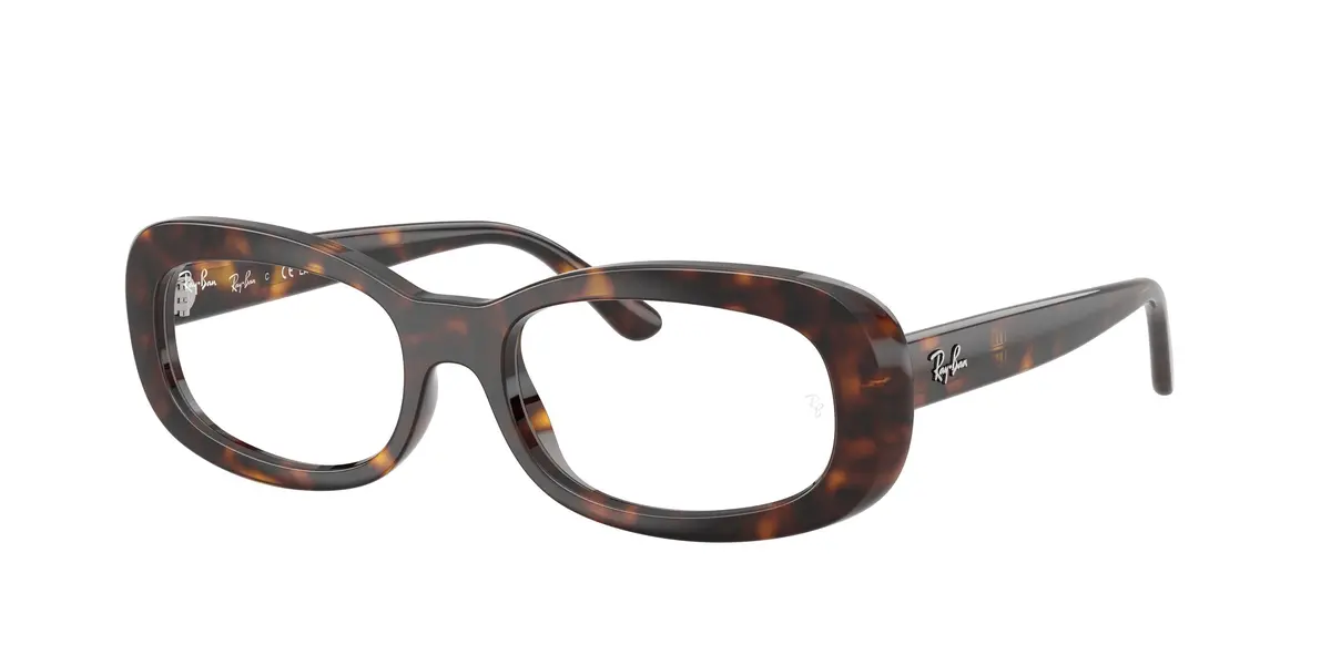 Ray-Ban 2221V Eyeglasses 1