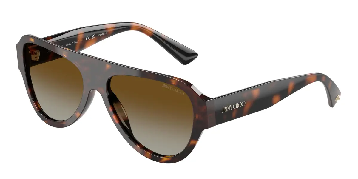 Jimmy Choo 5027 Sunglasses 1