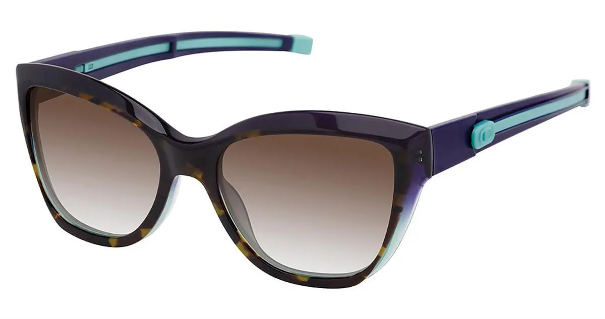 Champion Curowan Sunglasses 1