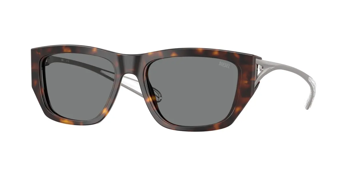Diesel 2006F Sunglasses 1