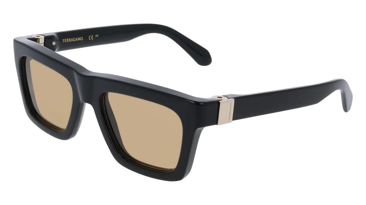 Salvatore Ferragamo Sf2071s Sunglasses 1