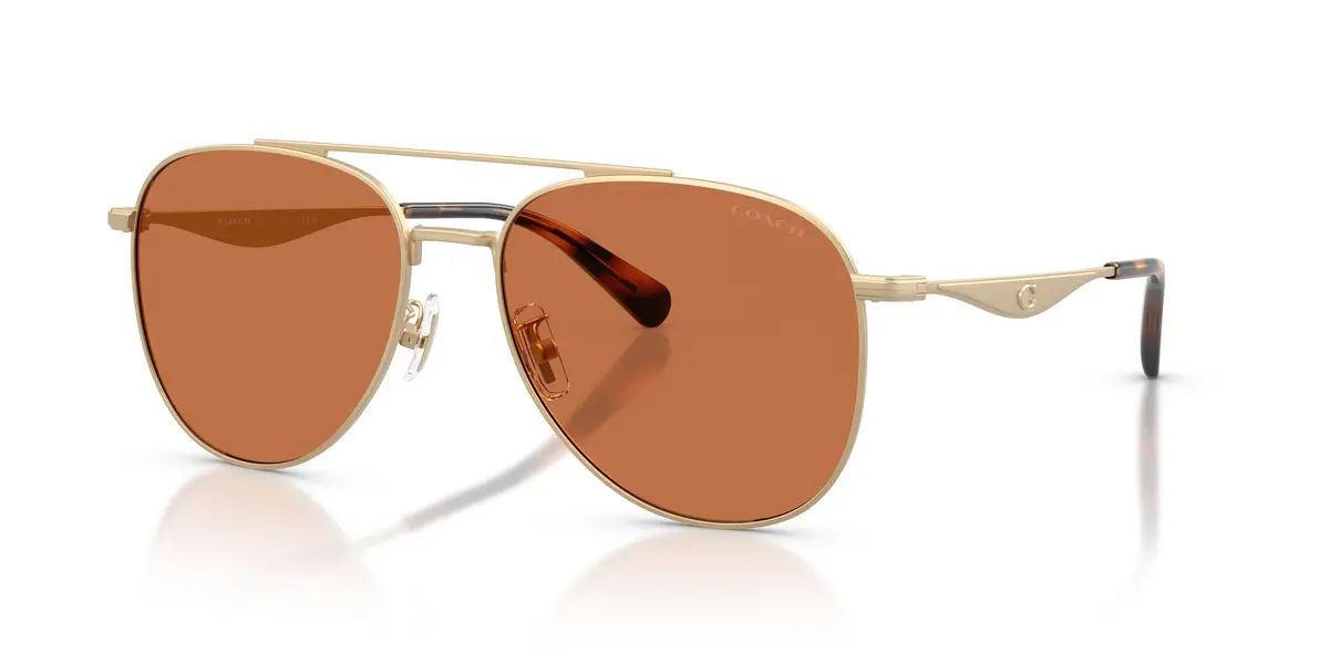 Coach Cdp40 7190 Sunglasses 1