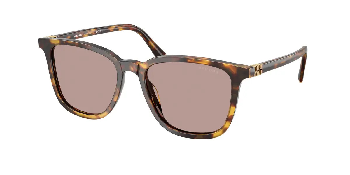 Miu B03sf Sunglasses 1