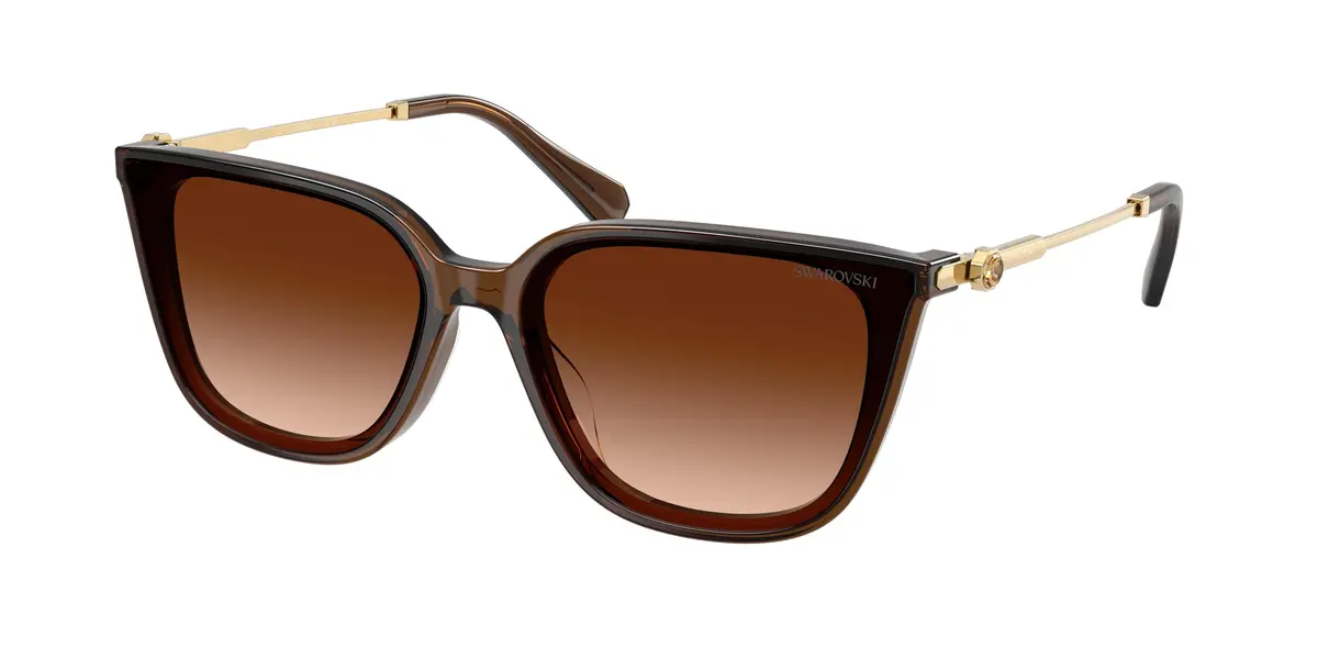 Swarovski 6054D Sunglasses 1
