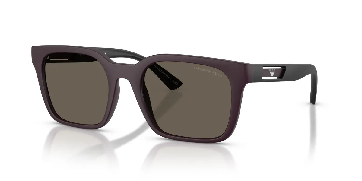 Emporio Armani 4269 Sunglasses 1