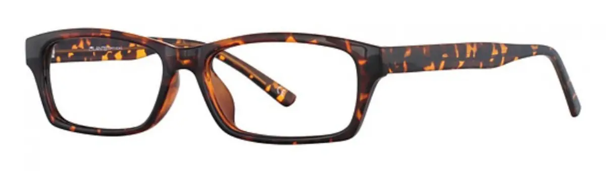 Lantis Optical L7007 Eyeglasses 1