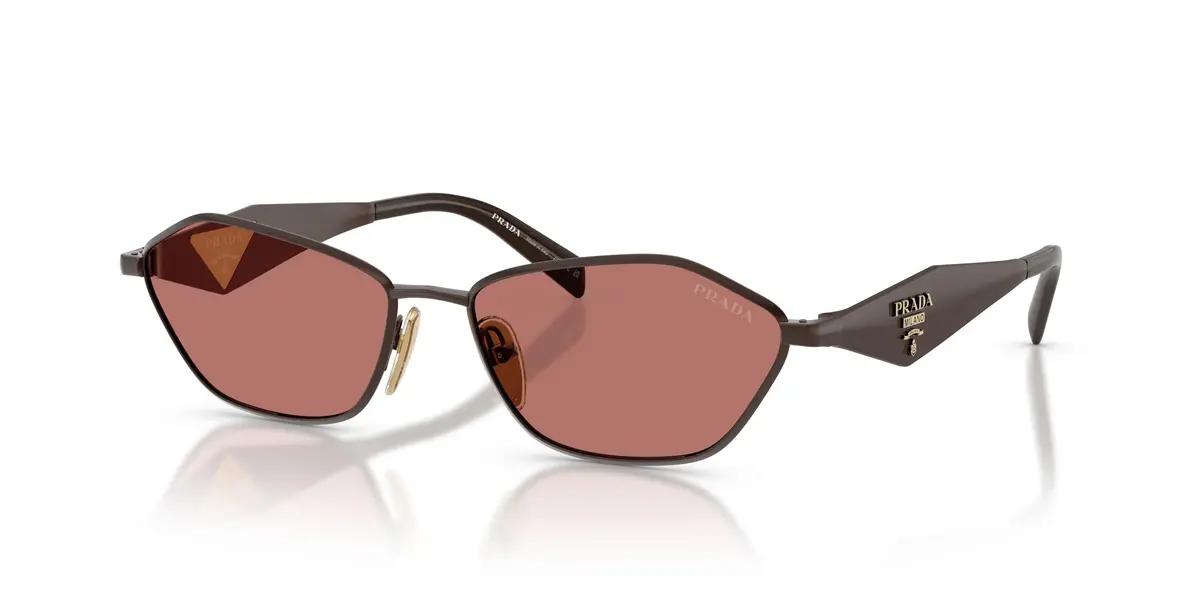 Prada D50s Sunglasses 1