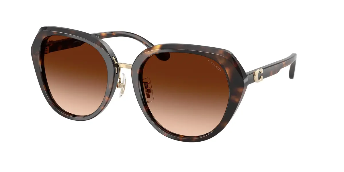 Coach Cby93 8436 Sunglasses 1