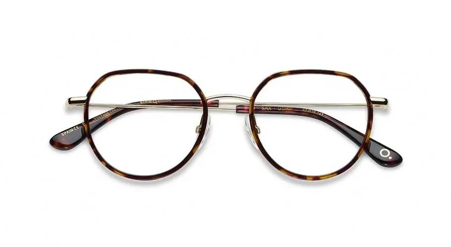 Etnia Barcelona Vintage Sax Eyeglasses 1