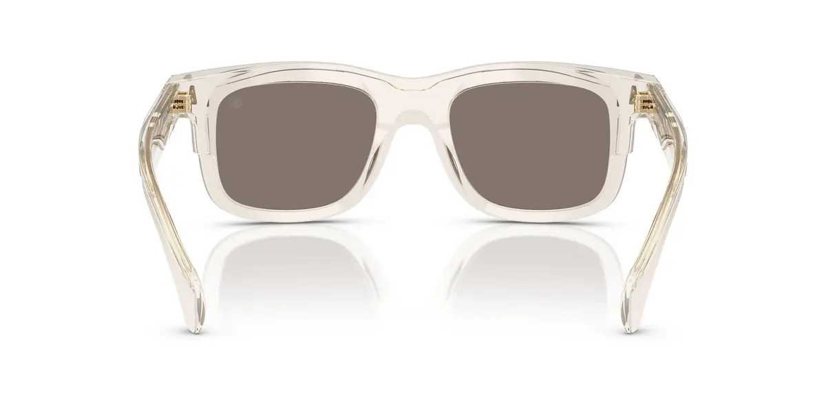 Moncler Claro 6004 Sunglasses 9