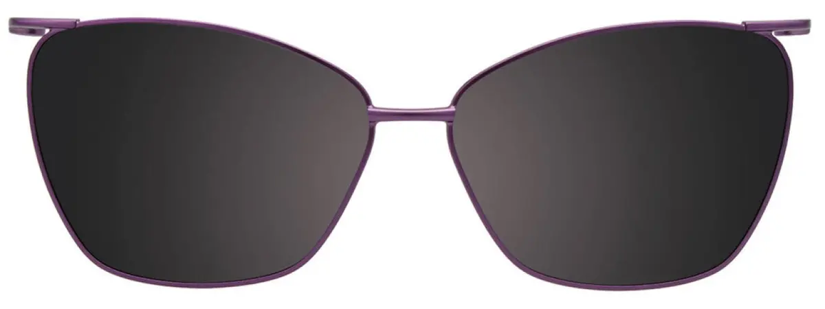 Takumi Tk1309 Eyeglasses 1