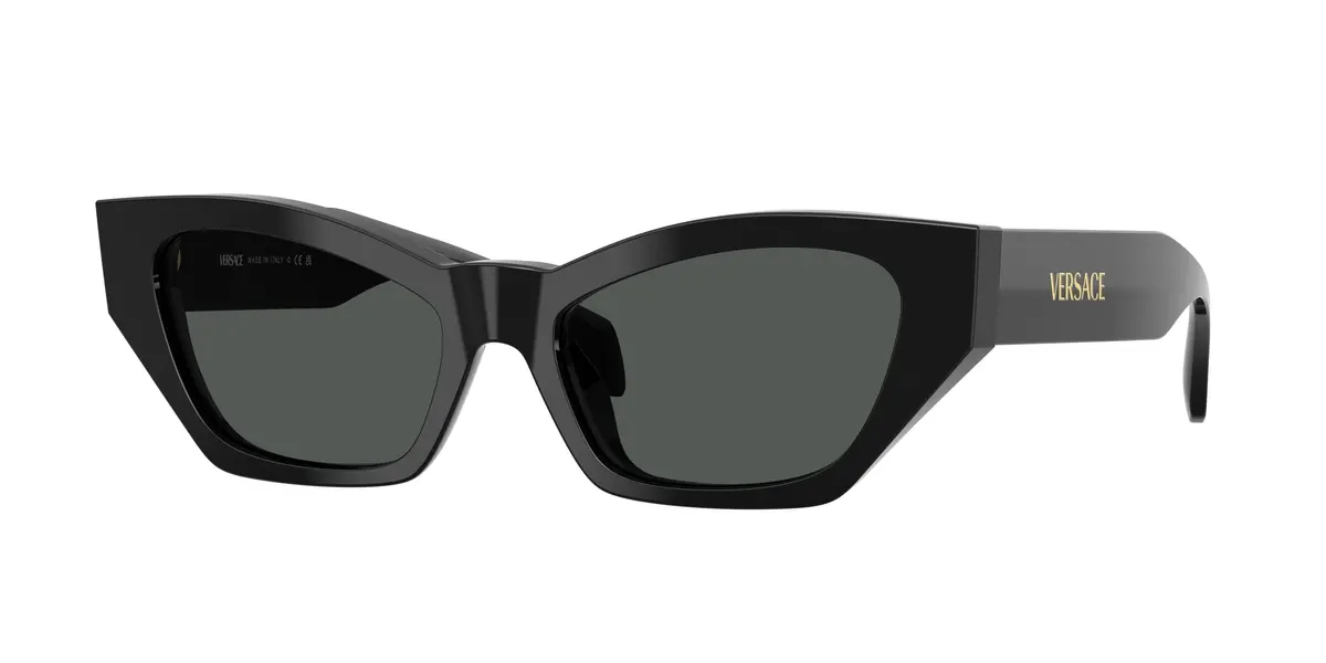 Versace 4488U Sunglasses 1