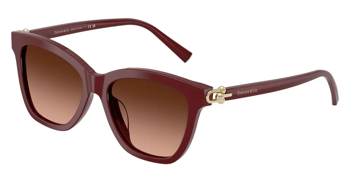 Tiffany 4241D Sunglasses 1