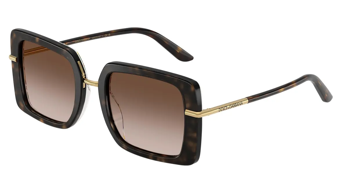 Dolce & Gabbana 4491 Sunglasses 1