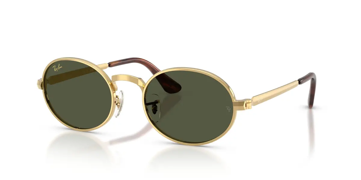Ray-Ban 3931 Sunglasses 1