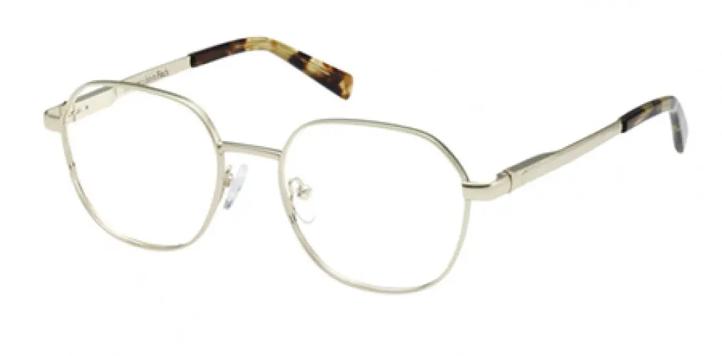 Abercrombie & Fitch 50045 Eyeglasses 1