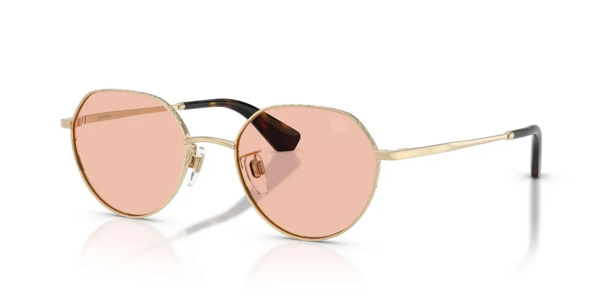 Burberry 3173D Sunglasses 1