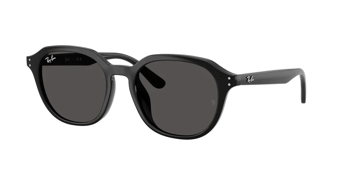 Ray-Ban 4459D Sunglasses 1
