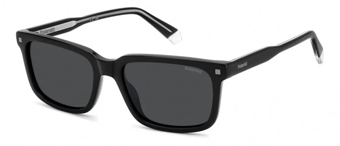 Polaroid Core Pld4174 Sunglasses 1