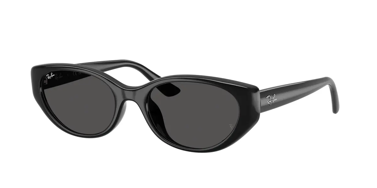 Ray-Ban 4457D Sunglasses 1