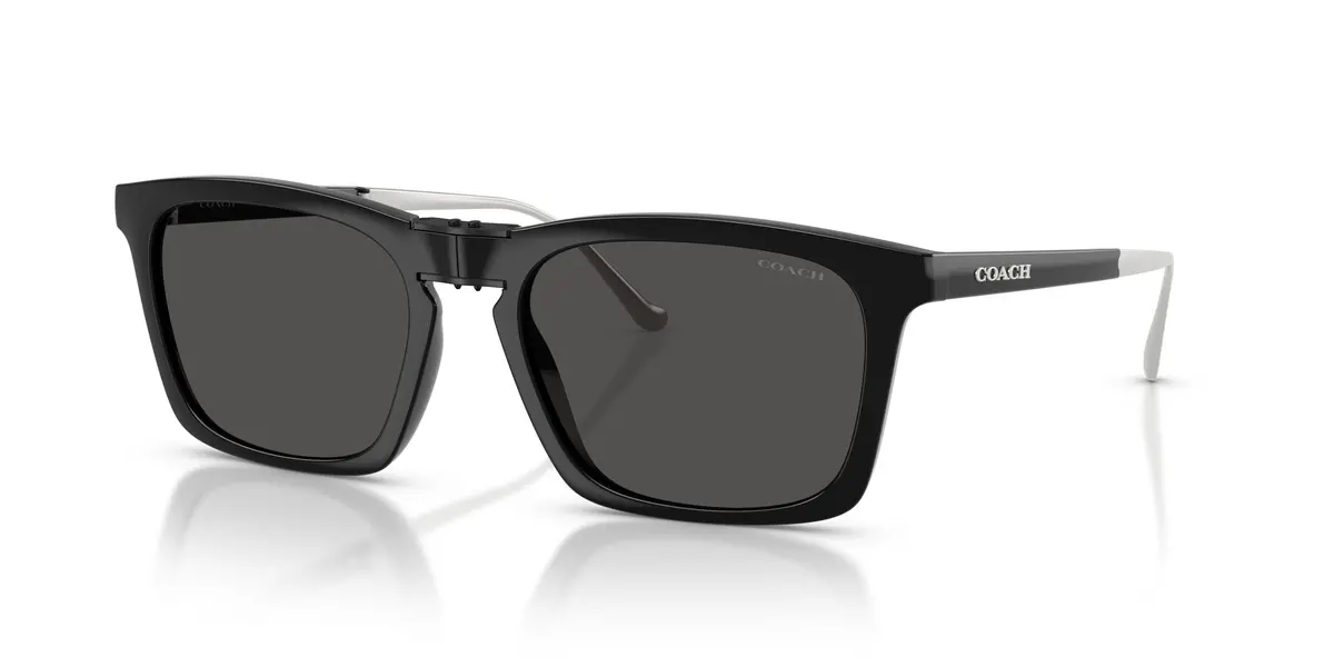 Coach Cdp54 8455 Sunglasses 1