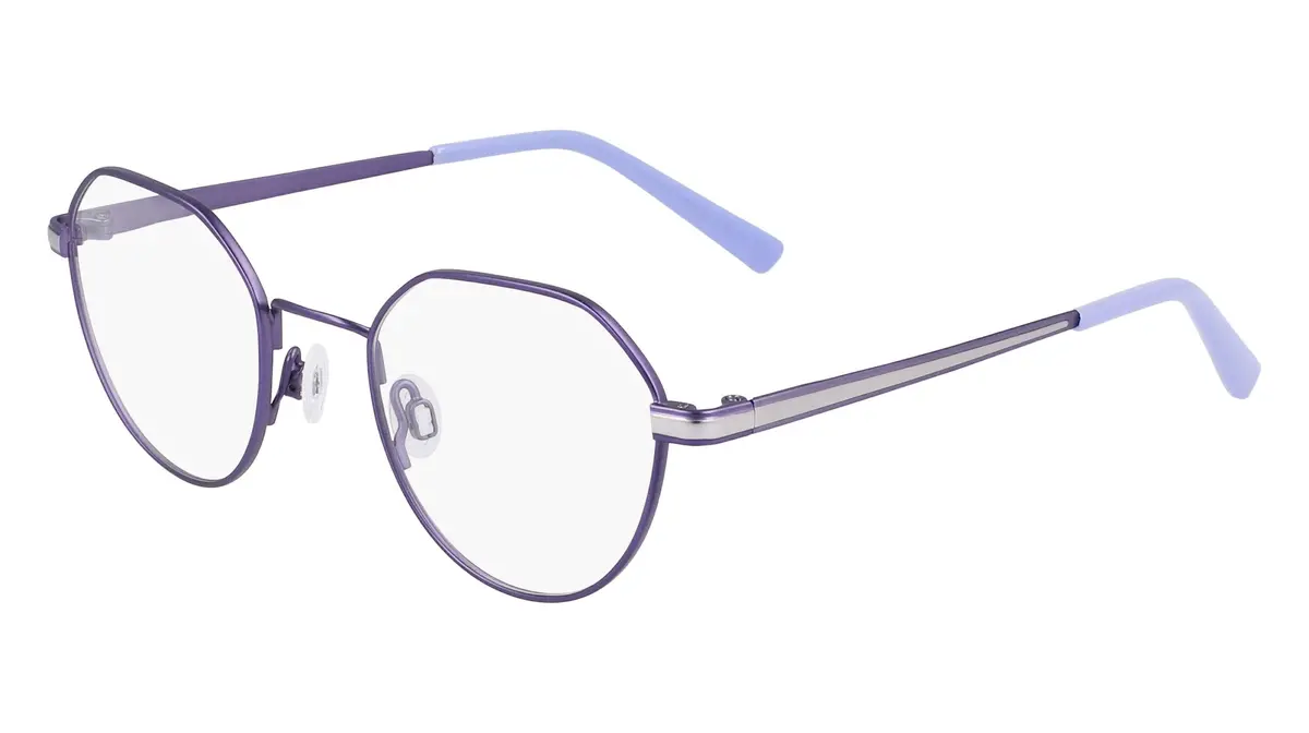 Flexon J4013 Eyeglasses 1