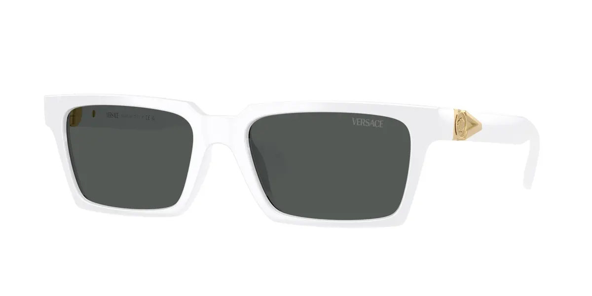 Versace 4490U Sunglasses 1