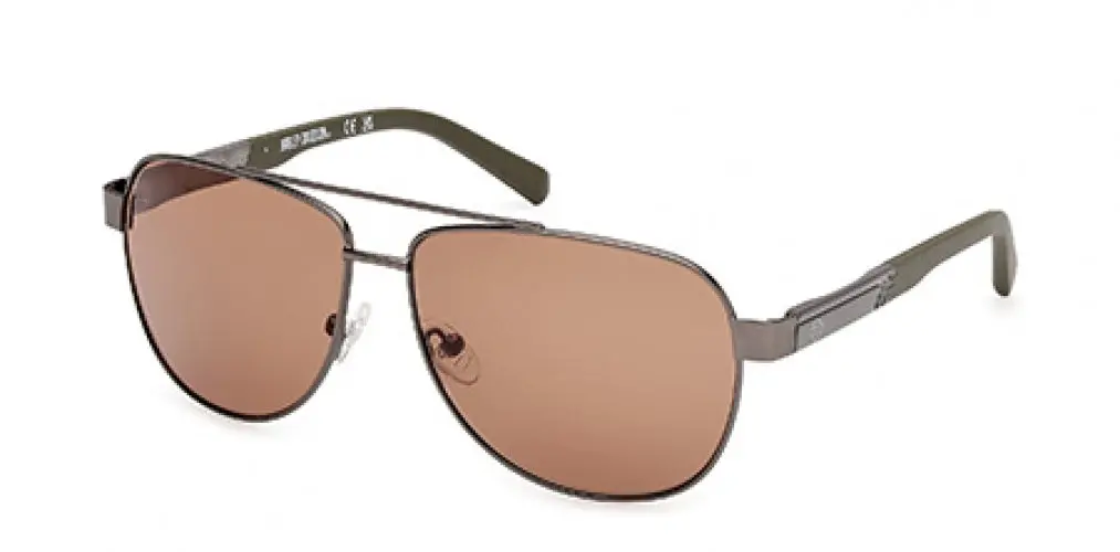 Harley-Davidson 00021 Sunglasses 1