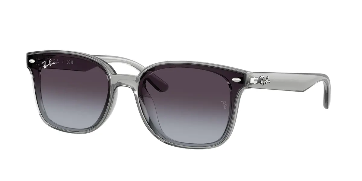 Ray-Ban 4461D Sunglasses 1