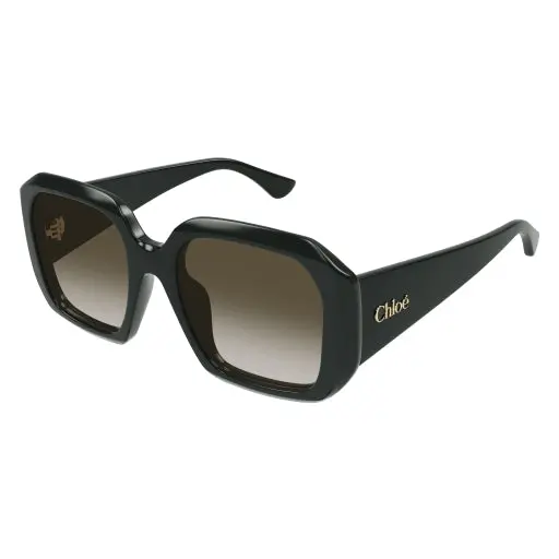 Chloe Ch0300s Sunglasses 1