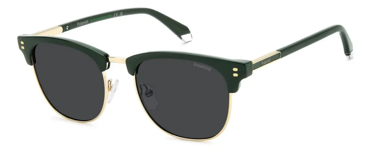Polaroid Core Pld4196 Sunglasses 1